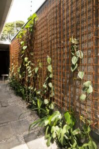 2 - Uso de malha pop em jardim vertical